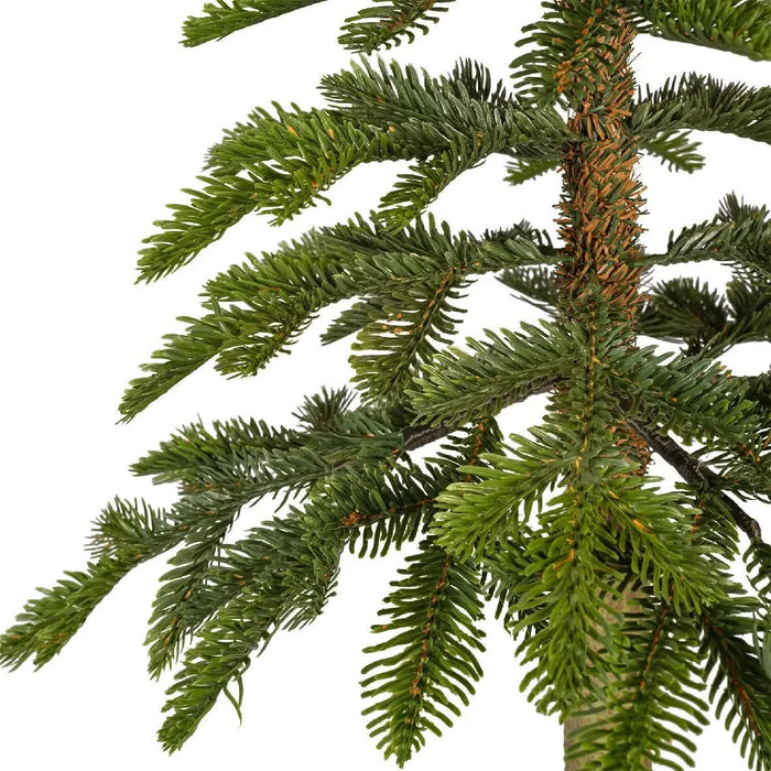 Everlands Alpine Fir 4ft (120cm)