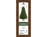 Everlands Bromont Fir 7ft (210cm)