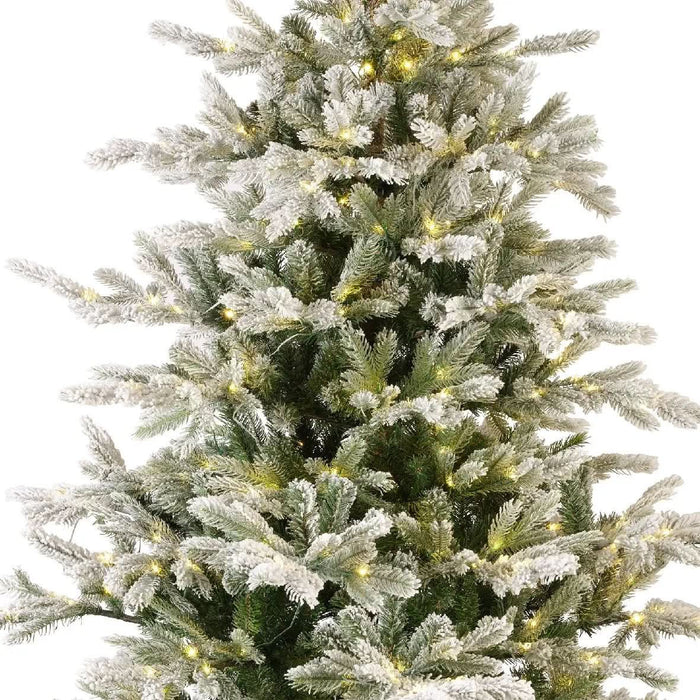 Everlands Snowy Grandis Fir - Pre-Lit 7ft (210cm)