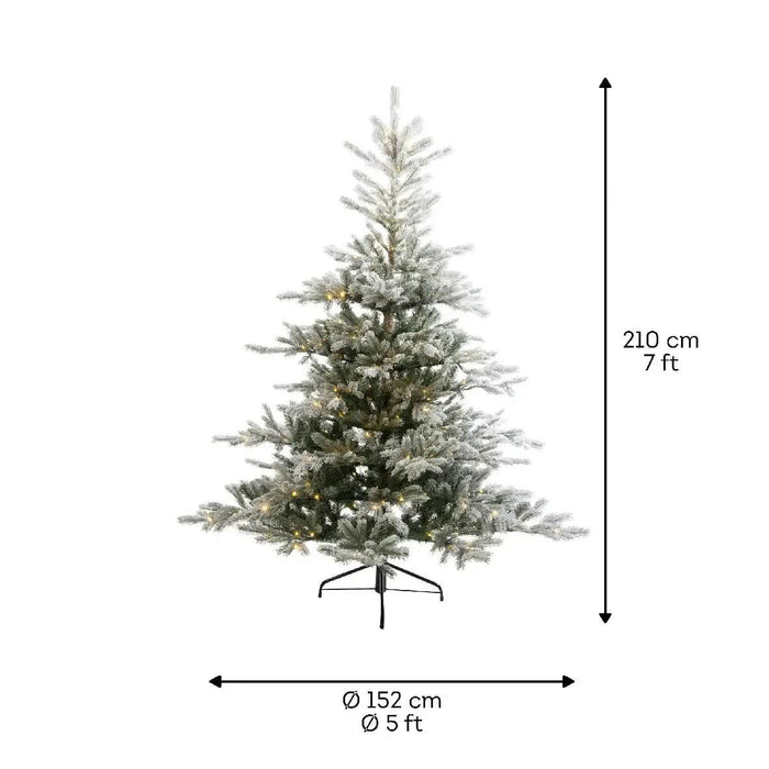 Everlands Snowy Grandis Fir - Pre-Lit 7ft (210cm)