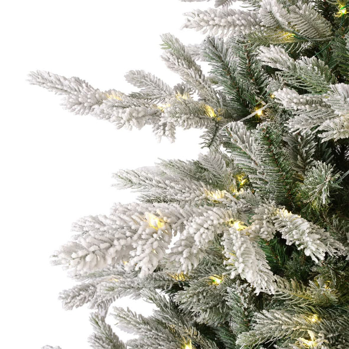 Everlands Snowy Grandis Fir - Pre-Lit 7ft (210cm)