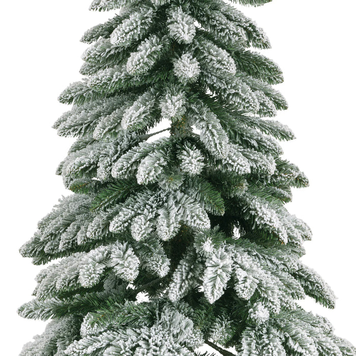 Everlands Snowy Tora Pine 6ft (180cm)