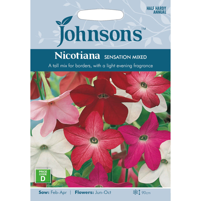 Flowers Nicotiana Sensation Mixed