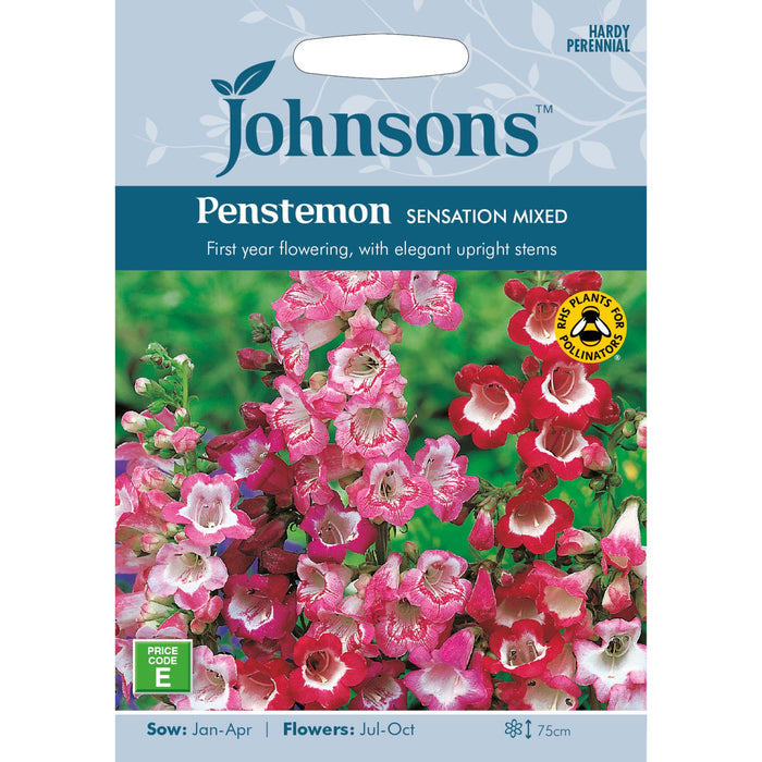 Flowers Penstemon Sensation Mixed