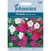 Flowers Petunia Bedding Mixed