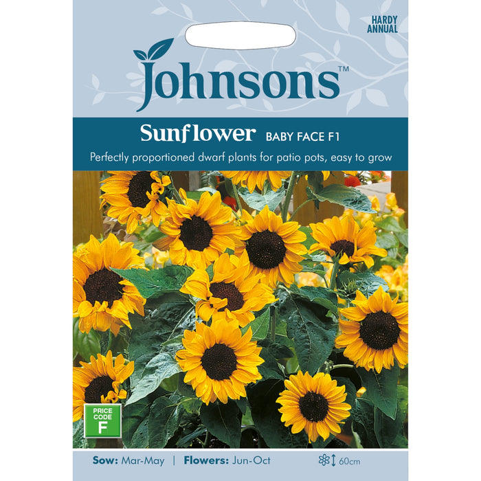 Flowers Sunflower Baby Face F1