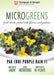 Thompson & Morgan (Uk) Ltd Gardening Microgreens Pak Choi Purple Rain F1