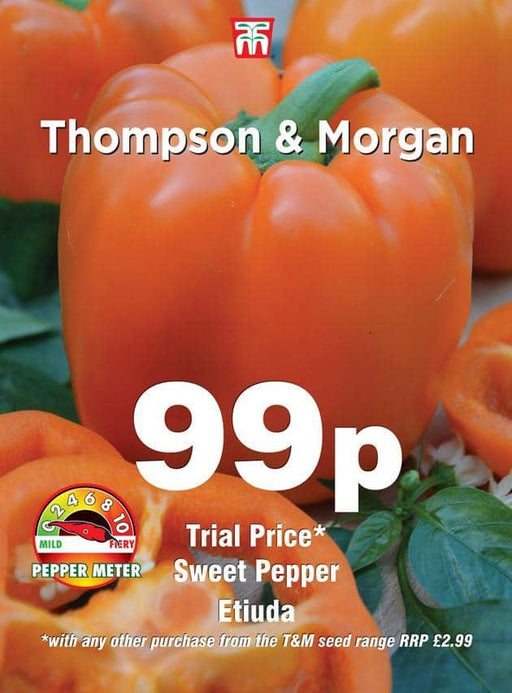 Thompson & Morgan (Uk) Ltd Gardening Pepper Sweet Etiuda
