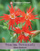 Thompson & Morgan (Uk) Ltd Gardening Silene Starburst