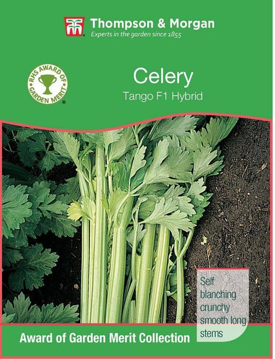 Thompson & Morgan (Uk) Ltd Gardening Celery Tango F1 Hybrid