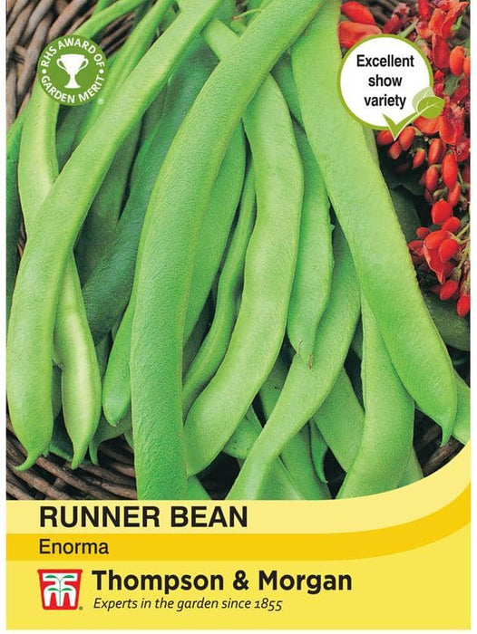 Thompson & Morgan (Uk) Ltd Gardening Runner Bean Enorma