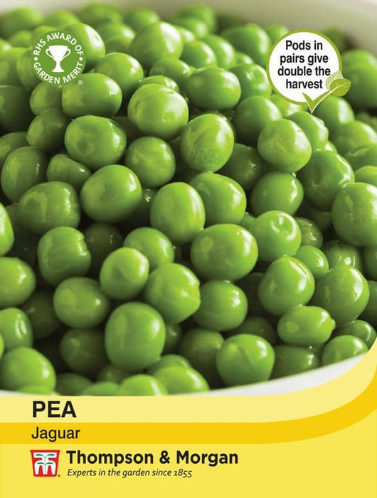 Thompson & Morgan (Uk) Ltd Gardening Pea Jaguar