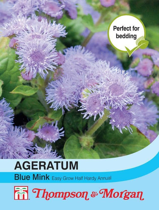 Thompson & Morgan (Uk) Ltd Gardening Ageratum Blue Mink