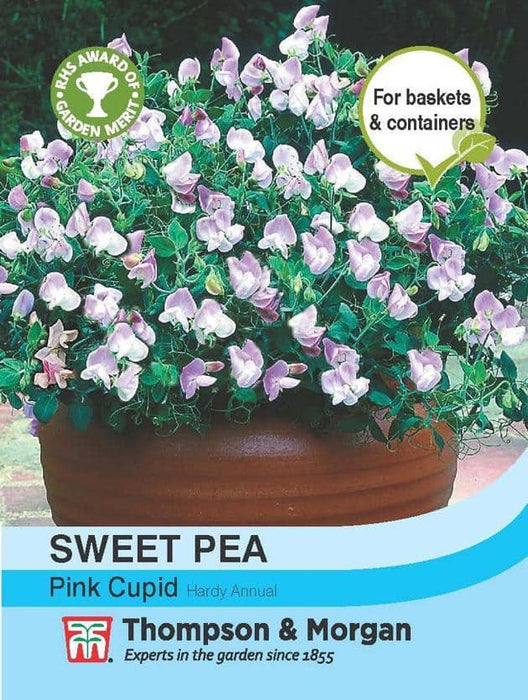 Thompson & Morgan (Uk) Ltd Gardening Sweet Pea Pink Cupid