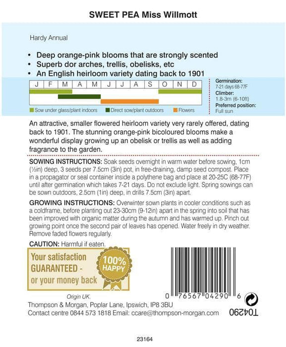 Thompson & Morgan (Uk) Ltd Gardening Thompson & Morgan Sweet Pea Miss Willmott