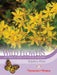 Thompson & Morgan (Uk) Ltd Gardening Wildflower St Johns Wort