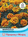 Thompson & Morgan (Uk) Ltd Gardening Marigold Colossus