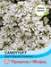 Thompson & Morgan (Uk) Ltd Gardening Candytuft Giant Hyacinth Flowered