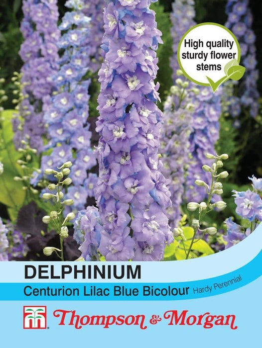 Thompson & Morgan (Uk) Ltd Gardening Delphinium Centurion Lilac Bicolour hybrid