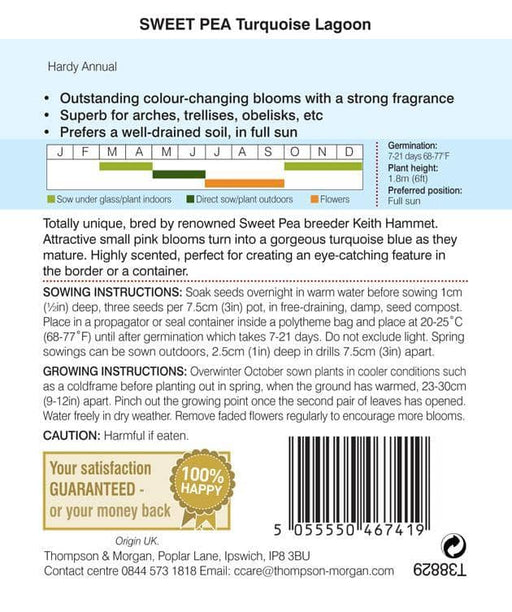 Thompson & Morgan (Uk) Ltd Gardening Thompson & Morgan Sweet Pea Turquoise Lagoon