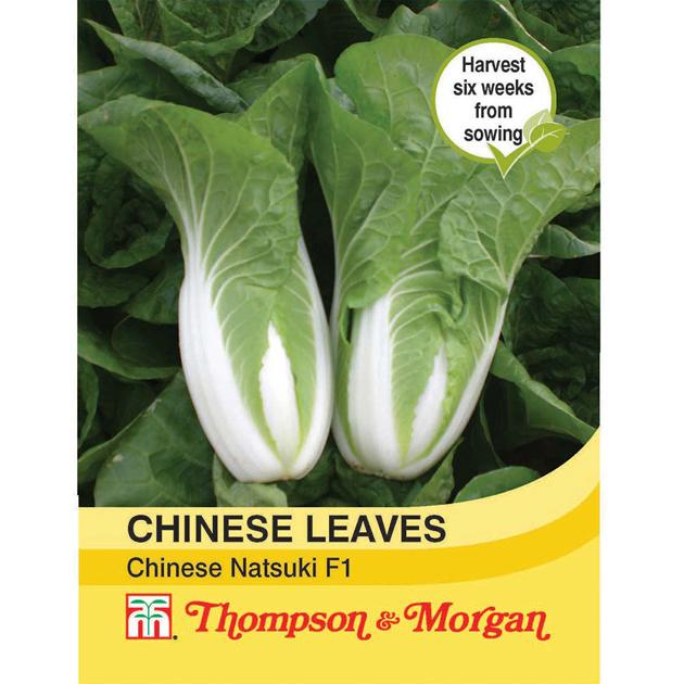 Thompson & Morgan (Uk) Ltd Gardening Cabbage chinese Natsuki F1 Hybrid