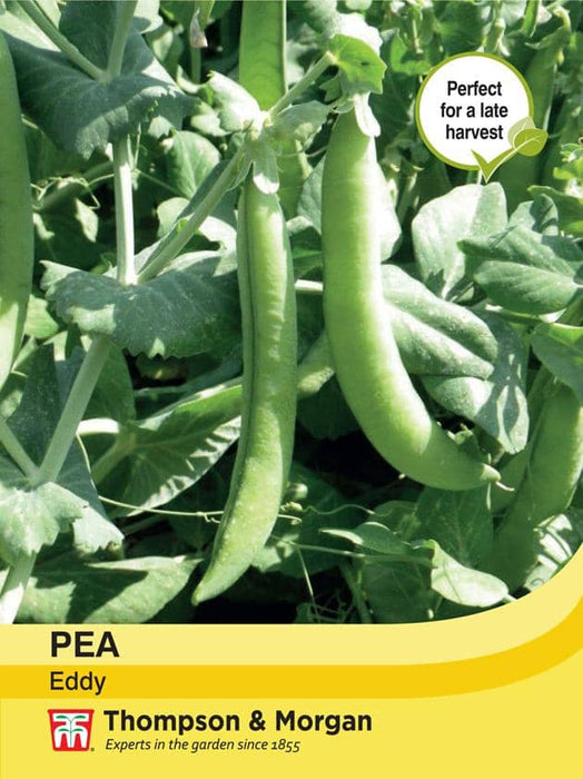 Thompson & Morgan (Uk) Ltd Gardening Pea Eddy