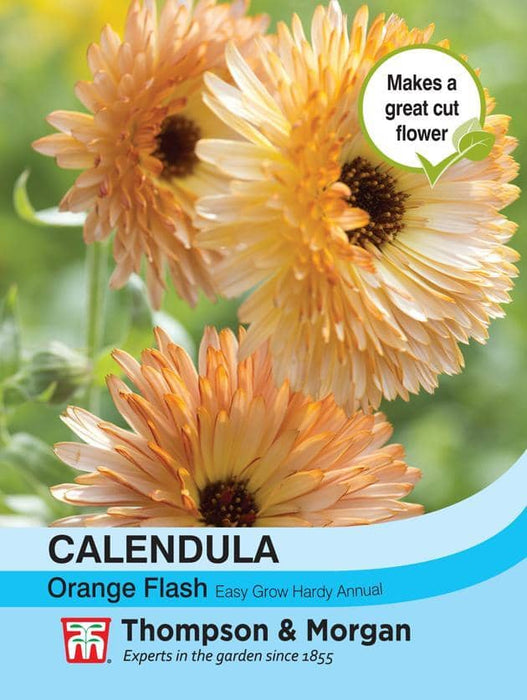 Thompson & Morgan (Uk) Ltd Gardening Calendula Orange Flash